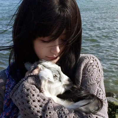 谎言的摇篮海报