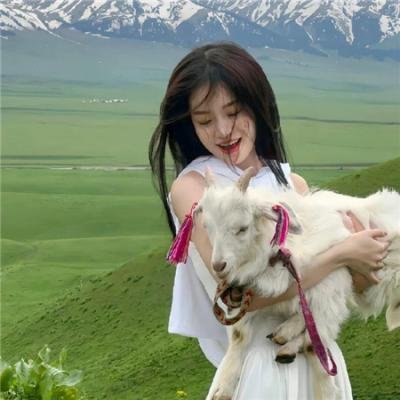 来不及再见海报